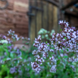 Bremmerhof Netze Waldeck