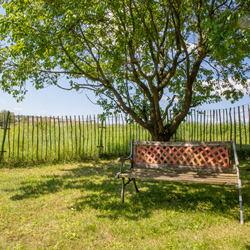 Bremmerhof Netze Waldeck