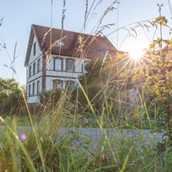 Bremmerhof Netze Waldeck