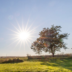 Bremmerhof Netze Waldeck