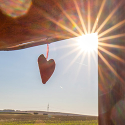 Bremmerhof Netze Waldeck